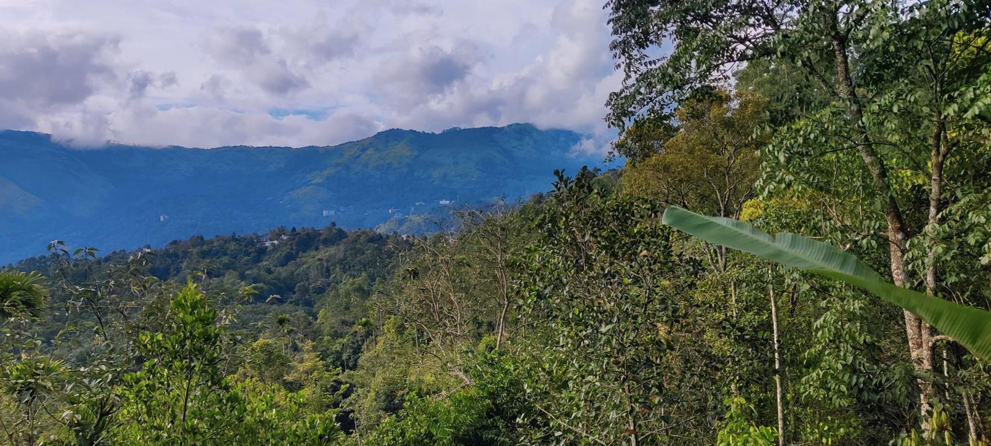 Chalona Hill View Ξενοδοχείο Munnar Εξωτερικό φωτογραφία