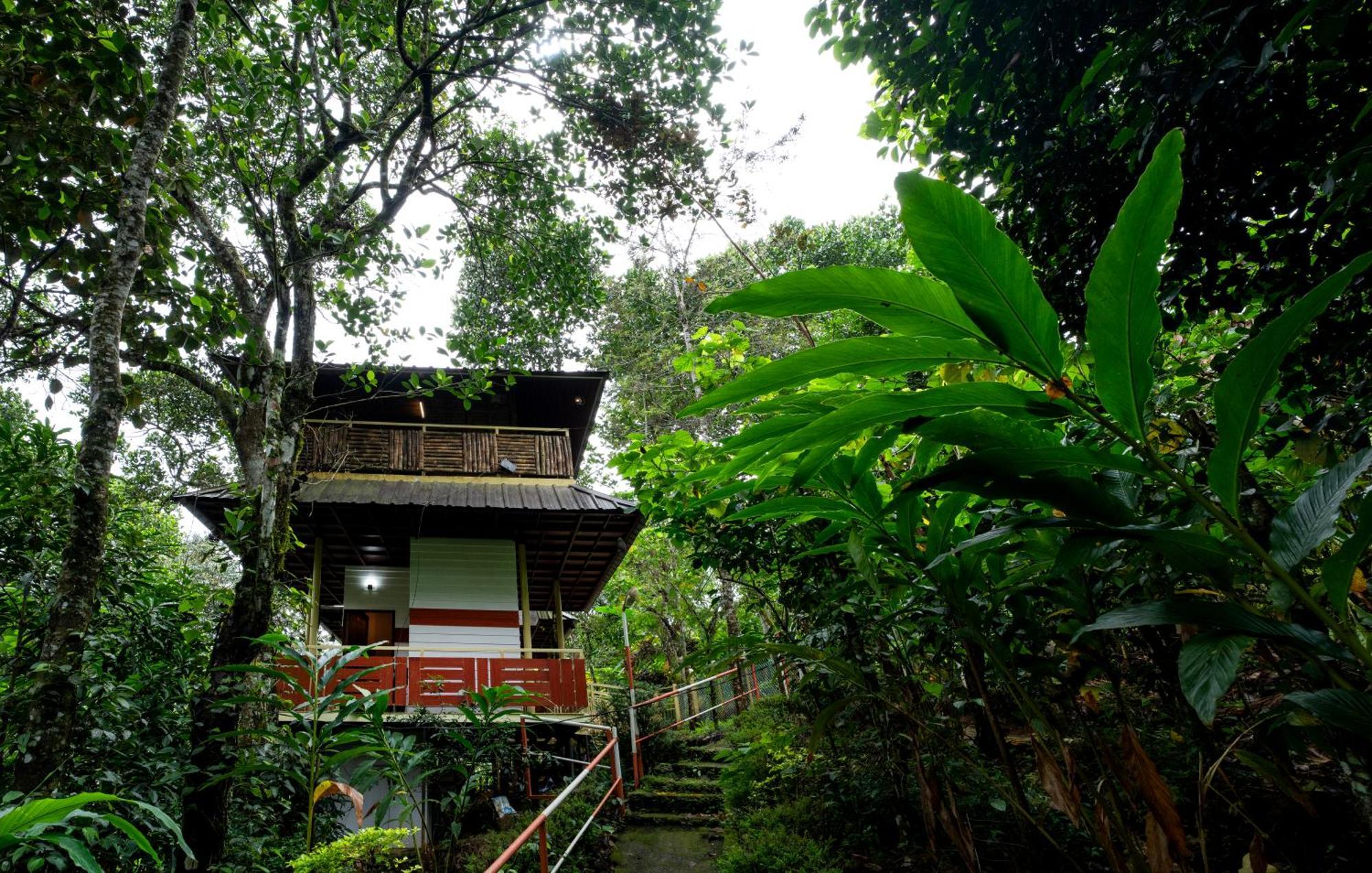 Chalona Hill View Ξενοδοχείο Munnar Εξωτερικό φωτογραφία
