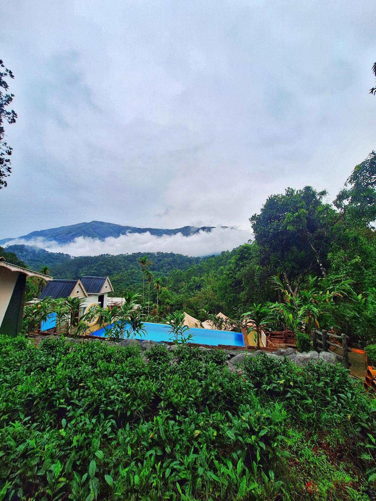 Chalona Hill View Ξενοδοχείο Munnar Εξωτερικό φωτογραφία